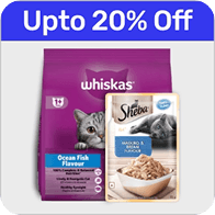 3in1 Rectangle Shape Electric Pet Steam Spa Brush